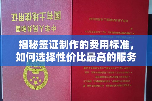 永宁揭秘签证制作的费用标准，如何选择性价比最高的服务？